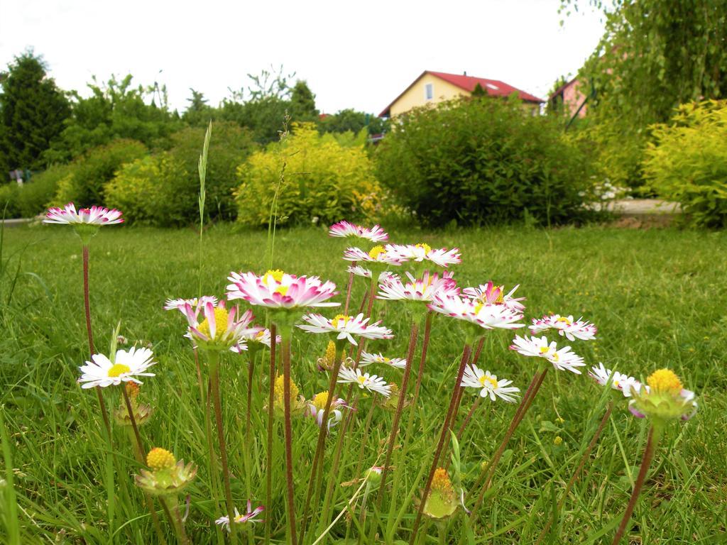 Pokoje Zabi Staw Mikolajki  Exterior photo