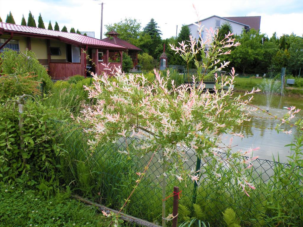 Pokoje Zabi Staw Mikolajki  Exterior photo